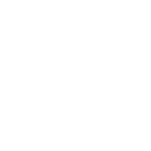 icons-protection